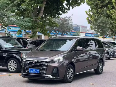 2023 Buick GL8 Land Business Class 652T Luxury, фото 1, лот 10257919