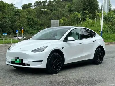 2023 Tesla Model Y Rear-Wheel Drive Edition, фото 1, лот 10768537