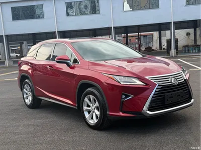2016 Lexus RX 300 2WD Elite Edition (China V), фото 3, лот 10317341
