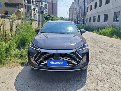 2022 BYD Tang New Energy DM-p 215KM AWD Flagship, фото 2, лот 10273909