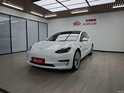 2022 Tesla Model 3 Model Rear-Wheel Drive Version, фото 3, лот 10449714
