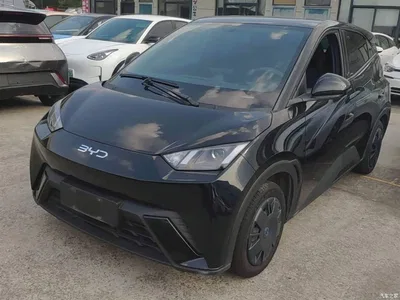 2024 BYD Seagull Glory Edition 305km Vitality Edition, фото 1, лот 10263019