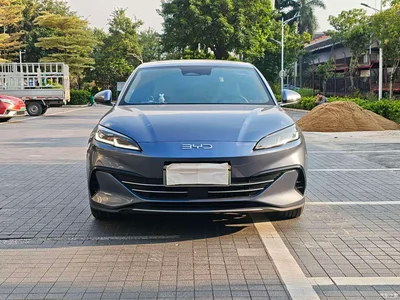 2024 BYD Seal 06 New Energy DM-i 120KM Premium, фото 2, лот 10272767