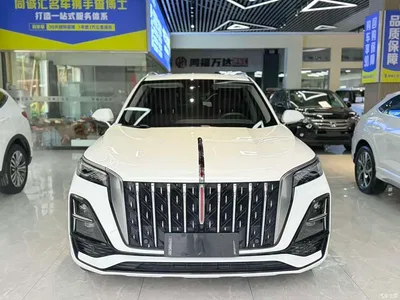 2023 Hongqi HS5 2.0T AWD Flag Enjoy Pro Edition, фото 2, лот 10288398