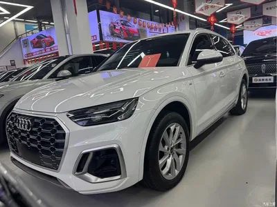 2022 Audi Q5L 40T Luxury Dynamic, фото 1, лот 10404453