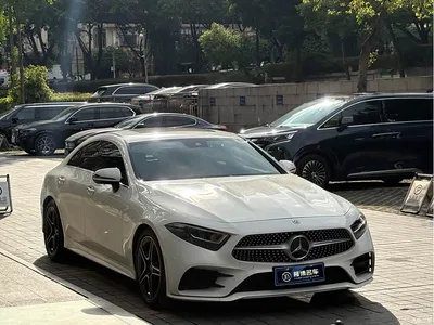2021 Mercedes-Benz CLS 300 Luxury, фото 3, лот 10954830
