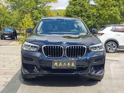 2021 BMW X3 xDrive30i Leading M Sport Package, фото 2, лот 11201093