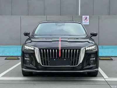 2023 Hongqi H5 2.0T Auto Smart Connect Flag Comfort, фото 2, лот 11227821