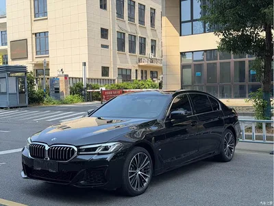 2023 BMW 5 Series 530Li Leading M Sport Package, фото 2, лот 10672170