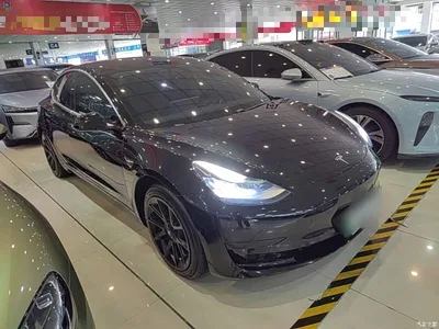2020 Tesla Model 3 Facelift Standard Range RWD Upgrade, фото 4, лот 11518341