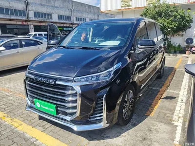 2021 SAIC Maxus Maxus G20 PLUS 2.0T Gasoline Automatic Elegance Edition, фото 1, лот 11165861