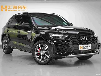 2024 Audi Q5L Model 40 TFSI Luxury Dynamic, фото 3, лот 10455457