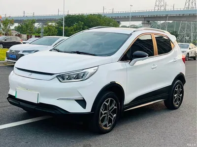 2021 BYD Yuan Pro Lifetime Love Edition, фото 1, лот 10598175