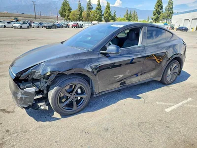 2026 TESLA MODEL Y, фото 1, лот 10853597