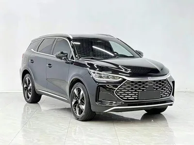 2024 BYD Tang New Energy DM-i Glory Edition 112KM Deluxe, фото 4, лот 10272190