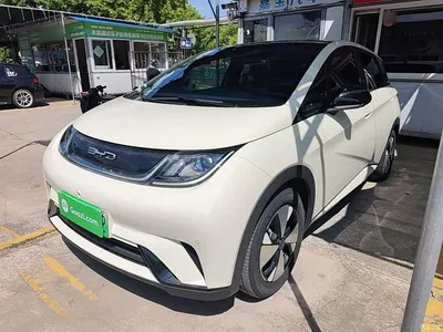2023 BYD Dolphin 420km Fashion Edition, фото 2, лот 10263709