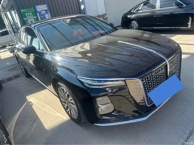 2023 Hongqi H5 2.0T Auto Smart Connect Flag Comfort, фото 3, лот 10287731