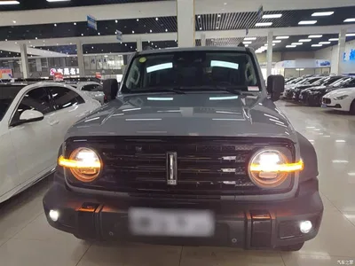 2021 Tank 300 Off-road Version 2.0T Conqueror, фото 3, лот 10345541