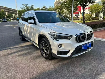 2019 BMW X1 sDrive18Li Premium Model, фото 3, лот 10466857