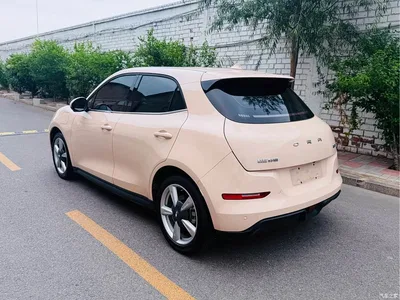 2021 Ora Good Cat 400km Standard Range Muse Edition (LFP), фото 4, лот 10330858