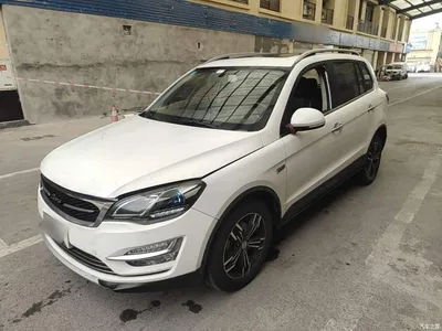 2017 Zotye Damai X5 Platinum Edition 1.5T Manual Premium, фото 1, лот 11151869