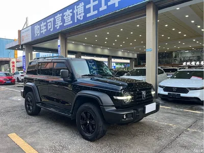 2023 Tank 300 Off-Road Edition 2.0T Conqueror, фото 3, лот 10344191