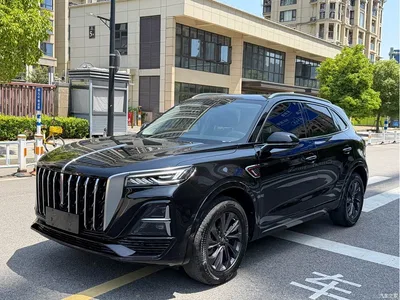 2023 Hongqi HS5 2.0T Flag Enjoy Pro Edition, фото 1, лот 10288060