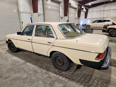 1981 MERCEDES-BENZ 300 D, фото 2, лот 10972009
