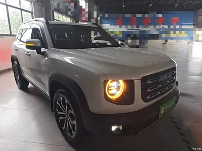 2021 Haval Big Dog 1.5T DCT 2WD Border Collie Edition, фото 4, лот 11177765