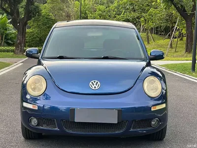 2008 Volkswagen Beetle 2.0 AT Standard, фото 2, лот 10473998