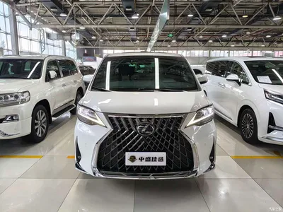 2020 Lexus LM 300h Seven-Seater Elegance Edition, фото 2, лот 10314683