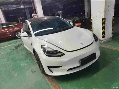 2021 Tesla Model 3 Facelift Standard Range RWD Upgrade 3D1, фото 1, лот 11141417