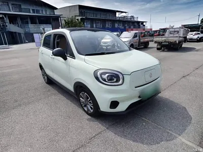 2024 Leapmotor T03 310 Comfort Edition, фото 4, лот 11582579
