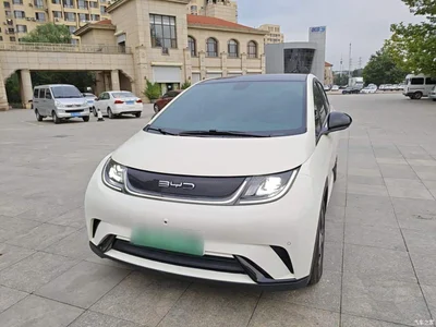 2023 BYD Dolphin 420km Fashion Edition, фото 1, лот 10260325