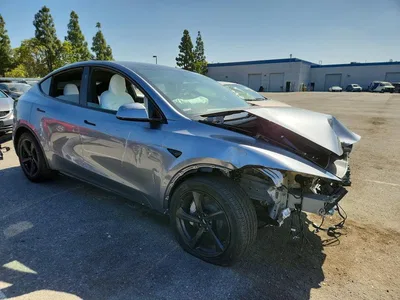 2026 TESLA MODEL Y, фото 4, лот 10978622