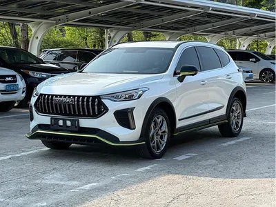 2022 Haval Chitu Power Edition 1.5T Purple Copper Rabbit, фото 1, лот 10296129
