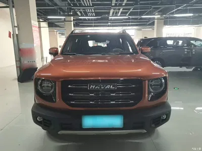 2021 Haval Big Dog 1.5T DCT 2WD Labrador Edition, фото 3, лот 11219546