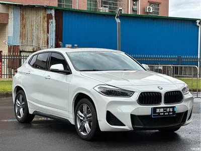2022 BMW X2 sDrive25i M Sport Package, фото 3, лот 10431676