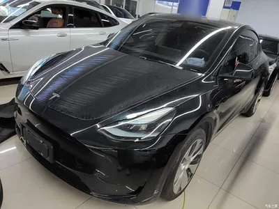 2022 Tesla Model Y Rear-Wheel Drive Version, фото 1, лот 11098526