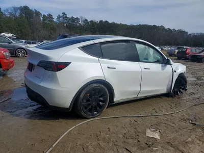 2023 TESLA MODEL Y, фото 3, лот 10857382