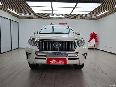 2018 Toyota Prado (Import), фото 3, лот 10767790