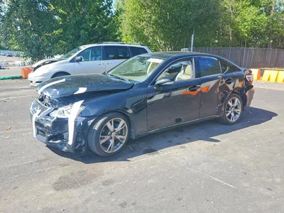 2010 LEXUS IS 250 BASE, фото 1, лот 10900955
