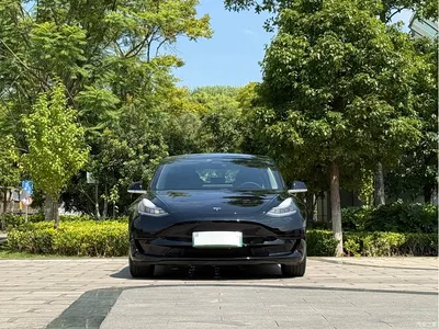 2019 Tesla Model 3 Standard Range Rear-Wheel Drive Upgrade, фото 2, лот 10346267
