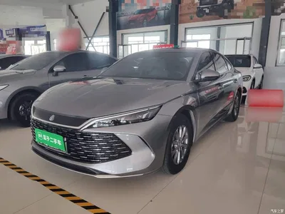 2024 BYD Qin L DM-i 80KM Leading Edition, фото 2, лот 10265733