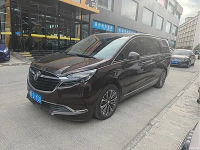 2021 Buick GL8 ES Landlord 653T Flagship, фото 1, лот 10396116