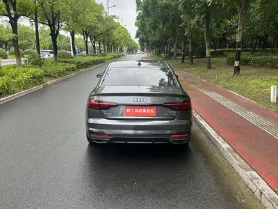 2024 Audi A4L 40 TFSI Luxury Dynamic, фото 1, лот 10307121