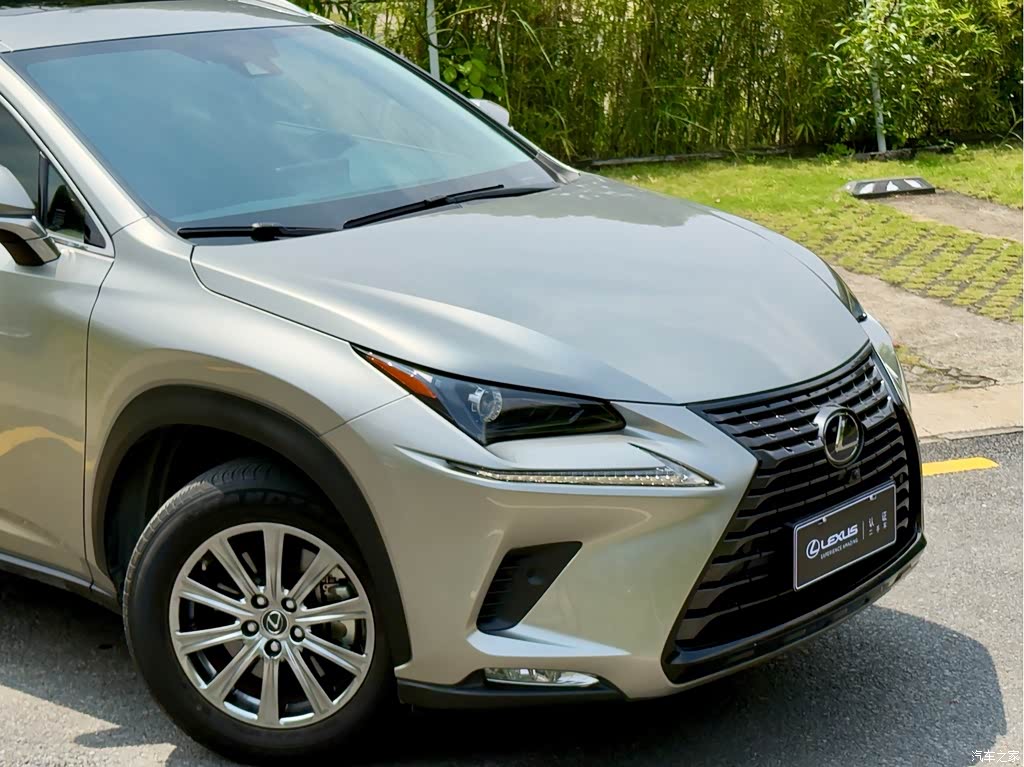 2020 Lexus NX 300h FWD F Sport China VI, фото 3, лот 10605739