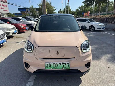 2021 Leapmotor T03 400 Luxury Edition, фото 2, лот 10315279