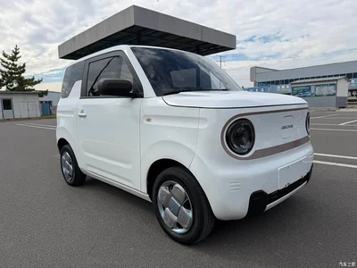 2024 Geely Galaxy Panda mini 200km Endurance Bear, фото 3, лот 10685163