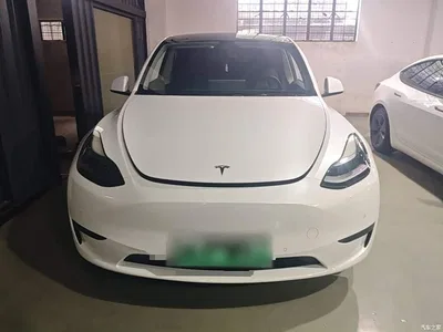 2022 Tesla Model Y Rear-Wheel Drive Version, фото 3, лот 11220199